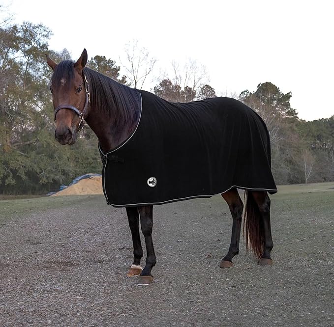 Jeffers Equine Elite Fleece Horse Cooler Blanket, 69 Inch – Soft, Adjustable Fit, Lightweight, Easy Care, Moisture Wicking Cooling Sheet with Surcingle for Post Exercise, Travel for Horses – Black