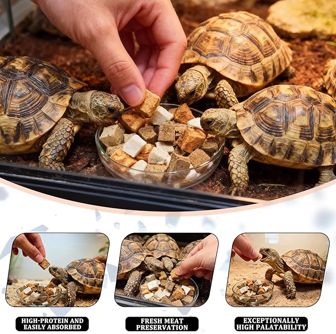 Freeze-Dried Chicken, Duck, Beef & Salmon for Turtles Treats| 3 oz Canister of Premium Protein Turtle Food | Natural Diet for Aquatic Turtles, Red Eared Sliders & Tortoises (3 oz)