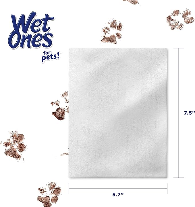 Wet Ones for Pets Multipurpose Dog Wipes with Aloe Vera, Tropical Splash Scent - Pet Bathing Wipes with Wet Lock Seal for Dog Paws & All Over Use, 100 Count - 3 Pack