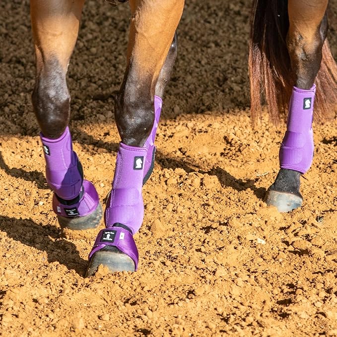 Classic Equine Legacy2 Support Boots, Front (Violet Purple, Small)