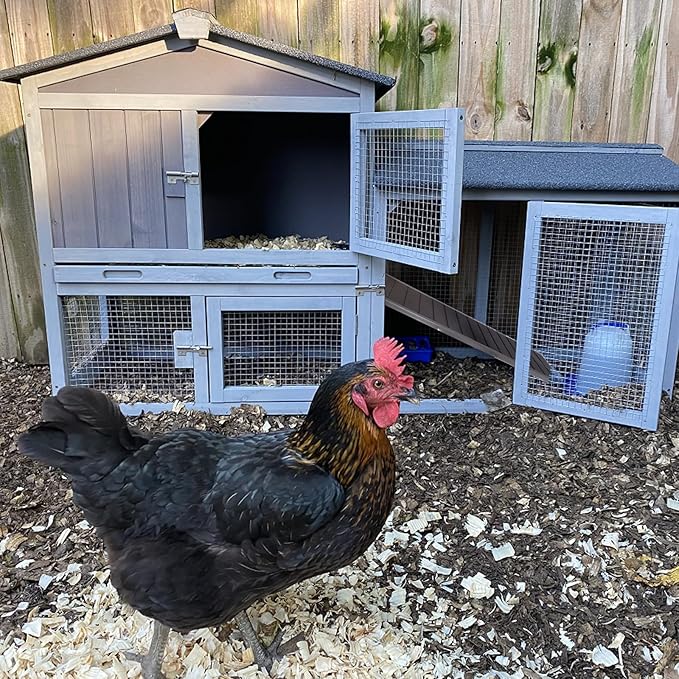 Chicken Coop Outdoor, Wooden Chicken House with Leakproof Tray and Waterproof Roof, Small Chicken Coops for 2 Chickens, Duck House, Rabbit Hutch