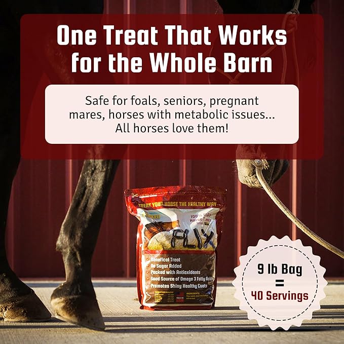 Flix 9 lb, 100% Flaxseed Healthy Treats for Horses, High in Omega-3 Horse Treats