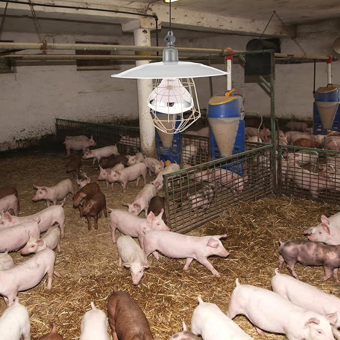 POPETPOP Livestock Heat Preservation Lamp Heat Lamp for Mini Pigs Poultry and Reptiles Flame-Retardant and Safe Design High-Temperature Resistance