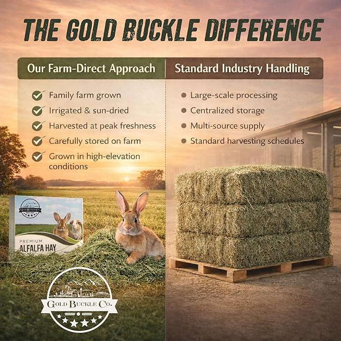 40lb Farm Fresh Alfalfa Hay for Rabbits, Guinea Pigs, Chinchillas, Goats, Hamsters & Ferrets - Organic Small Animal Food Rich in Protein & Fiber - Fresh Dried, Hand-Selected, USA Grown