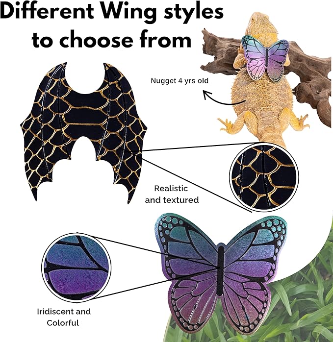 Bearded Dragon Leash and Harness Set, Leopard Gecko Leash, Wings & Butterfly Wings, Comfortable Fit, Retractable and Escape-Proof Lizard Harness and Leash, Bearded Dragon Accessories.
