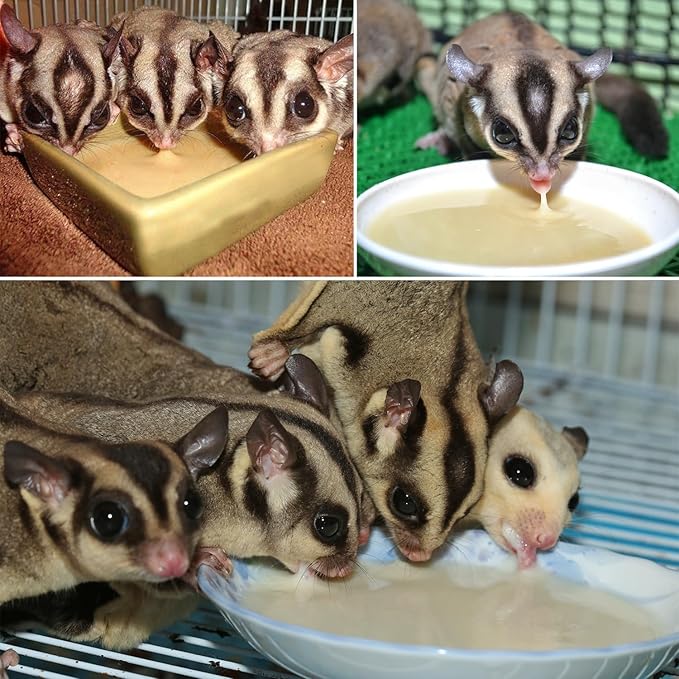 Exotic Nutrition Starter Package for Sugar Gliders - Includes Exercise Wheel, Food Assortment, Water Bottle, Food Dishes & Nest Pouch
