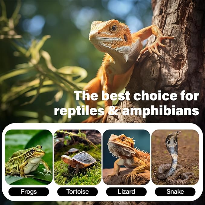 2-PCS Reptile Heating Light Bulb, Calcium Supplement Heating Light for Amphibians, Suitable for Sun Lamps for Reptiles, Maned Lions, Lizards, Turtles, and Snakes - 50W