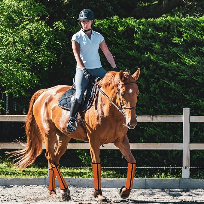 Fly Boots for Horses Set of 4 Breathable Textilene Mesh Horse Fly Boots with Stable Support & UV Protection, Comfortable Equine Boots, Reduces Stomping, Leg Fatigue & Hoof Damage.(Orange)