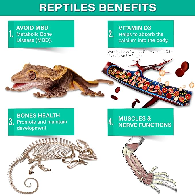 Gargeer 4oz All Reptile Calcium with Vitamin D3, Phosphorus-Free, Ultrafine Powder. Pure dust, Real Fruits Blend Flavored Ready to Use Supplement, for Lizards & Amphibians. Made in the USA. Enjoy !