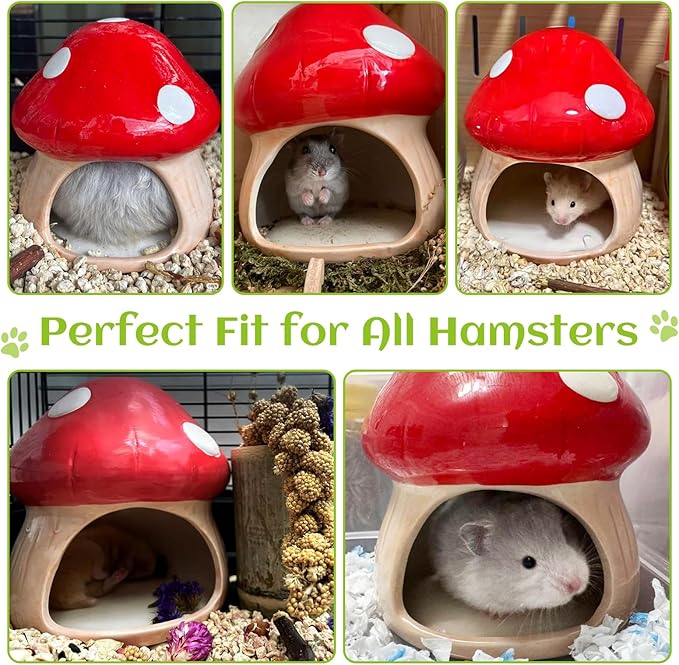 BNOSDM Ceramic Hamster Hideout Cute Mushroom Shape Hamster House and Habitat Cool Hamsters Hide Suitable for Syrian, Mice, Dwarf Hamsters, Gerbils (Red)
