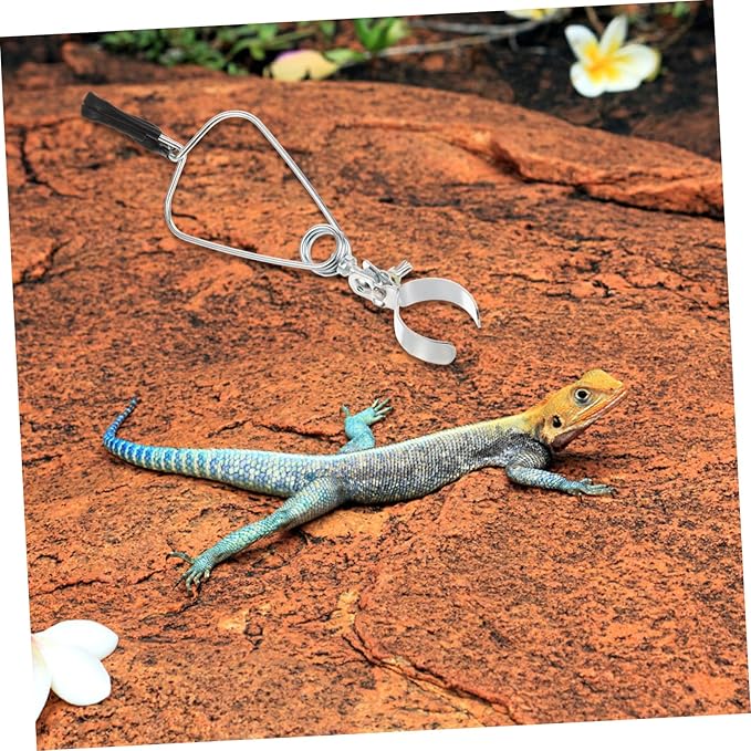 Toddmomy 8pcs Adjustable Heat Lamp Clamp Fixture for Reptiles Sturdy Light Holder Bracket Support for Turtles and Lizards Flexible Design for Easy Installation Terrariums