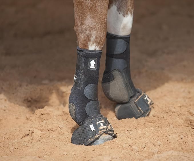 Classic Equine Legacy2 Support Boots, Front (Black, Medium)