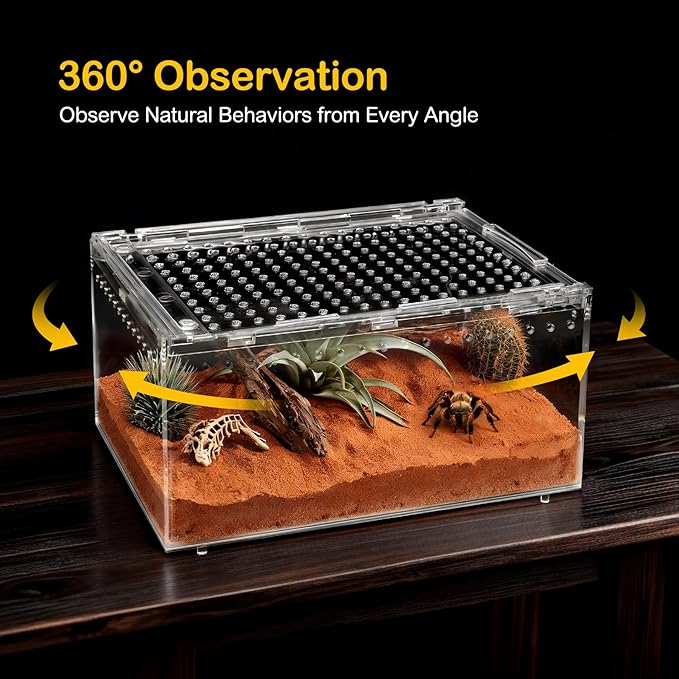 Large Reptile Terrarium Kit,Escape Proof Tarantula Enclosure,PC Starter Hermit Crab Tank,Spider Habitat for Praying Mantis Cage,Frog Vivarium,Insect House,Lizard Cribs,Leopard Gecko Container