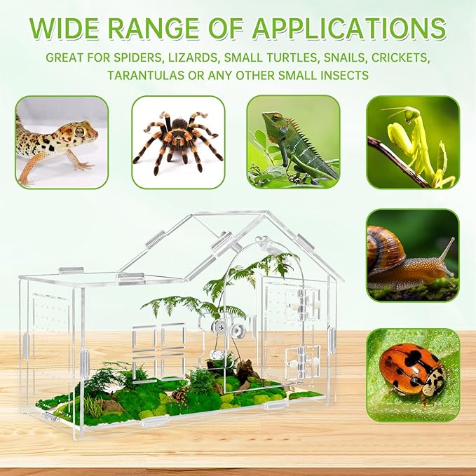 Acrylic Jumping Spider Enclosure, Jumping Spider Terrarium, Versatile Reptile Enclosure for Tarantula, Gecko, Hermit Crab Tank