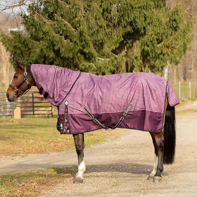 Equinavia Norse Lightweight 100g Fill Horse Rain Blanket | Waterproof Turnout Sheet - Black - 66 in - Plum Wine/Orchid Haze - 72 in