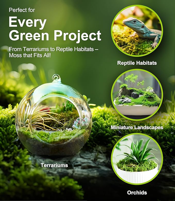 Live Moss Duo Pack 2 Types of Real Live Sheet/Sphagnum Moss for Terrariums, Terrarium Mosses Landscaping, Reptile Tank Accessories, Snake & Gecko Humidity Substrate Mosses for Crafts & Plant Décor