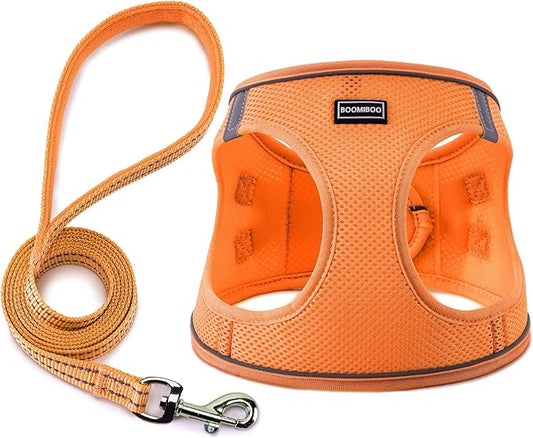 Dog Harness with Leash Set, No Pull Adjustable Reflective Step-in Puppy Pet Vest Harnesses for Small Medium Large Dogs and Cats,Orange M