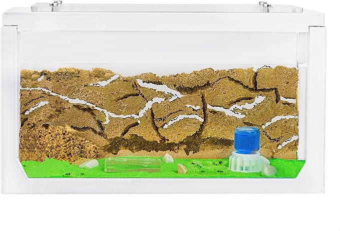 AntHouse - Natural Sand Ant Farm | 3D White Starter Kit 7.87 x 3.94 x 3.94 in