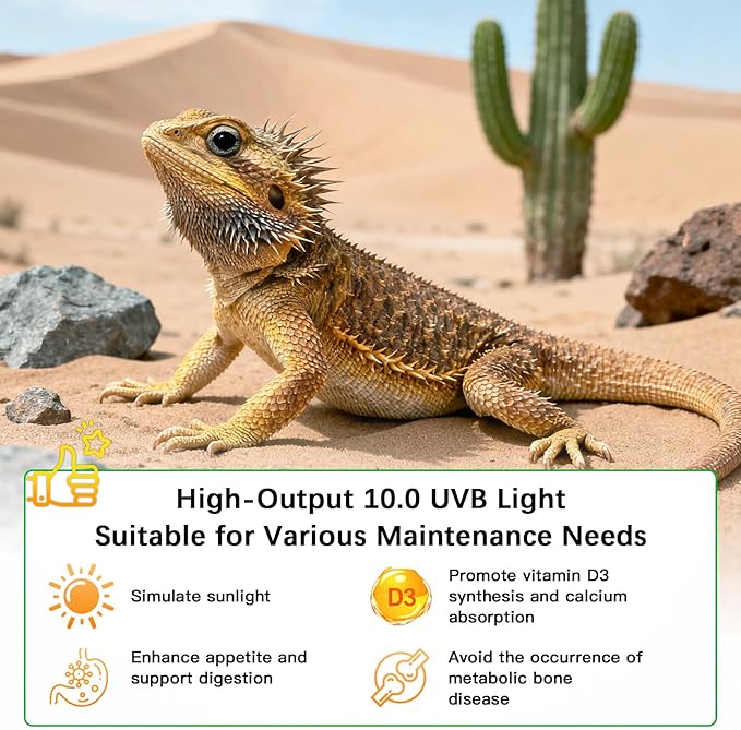 T8 UVB Reptile Light Fixture HO UVB Bulb Lighting Combo Kit, 10.0 UVB Light for Reptiles Terrarium Hood UVA UVB Desert Lamp for Bearded Dragon Turtle Tank (T8 15W 18Inch)