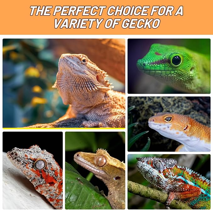 Crested Gecko Food Insect Puree, Hornworm Paste Reptile Food Made with Fresh Insects Gecko Food Complete Diet 2.82oz