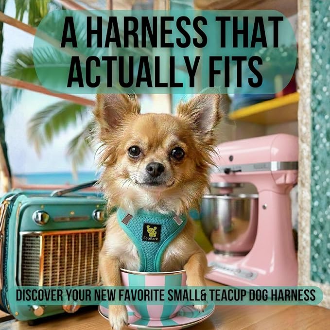 EcoBark Step in Dog Harness - Eco-Friendly Dog Harnesses for Small and Medium Breed Dogs - Reflective and Adjustable Body Halter Vest - Soft Mesh Toy Breed Harness (Mint, Large)