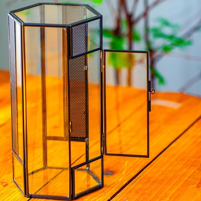 NCYP Small Glass Enclosure Terrarium with Mesh and Door for Spiders - Hexagon Shape Small Mantis Vented Glass Terrarium 4.9'' x 4.3'' x 9.4'', Tabletop Decor, Black (Plants Not Include)
