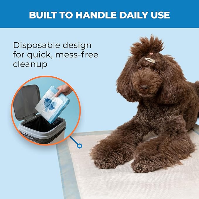 Best Pet Supplies Puppy Pads (22.5 x 22 Inches) - Disposable, Dog Training Potty, Super Absorbent Baby Blue Puppy Pee Pads for Dogs (100 Count)
