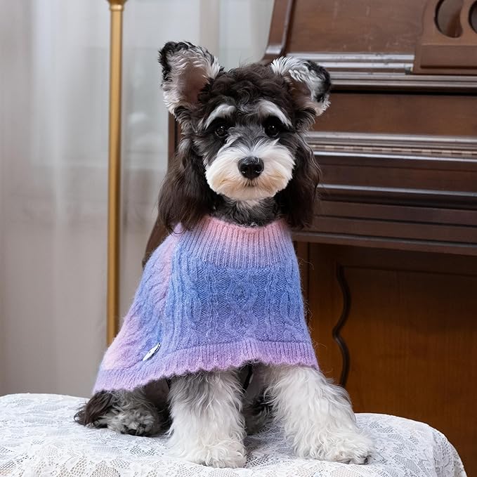 Rainbow Mohair Dog Poncho, Cold Weather Cable Dog Sweater for Small Dogs, Classic Turtleneck Thick Puppy Clothes with Leash Hole DS93XL