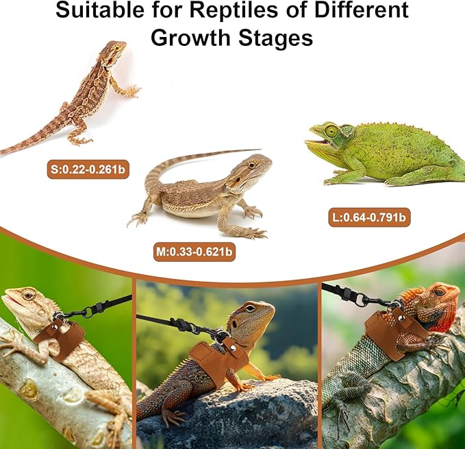 5 Pack Bearded Dragon Leash and Harness Set, Adjustable Soft Leather Lizard Leash with 3 Sizes for Small Animals, Reptile Walking Training Vest for Ferret, Hamster, Chameleon, Brown