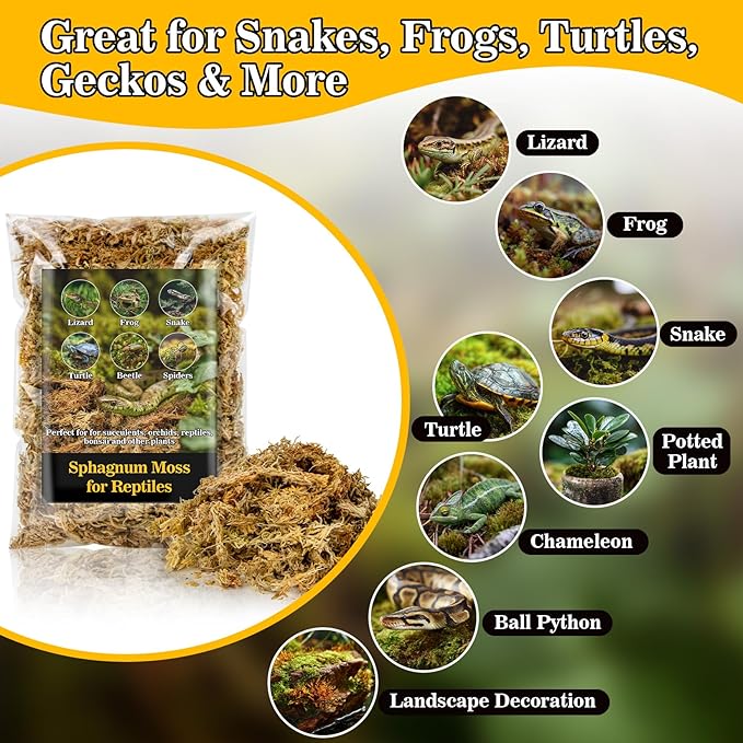 RAINFLOW Sphagnum Moss for Reptiles - 5.6 OZ Reptile Peat Moss for Terrarium Bedding Reptiles Snake Substrate for Reptile Tank, Snake, Leopard Gecko, Ball Python, Crested Gecko, Turtle, Frog, Hamster