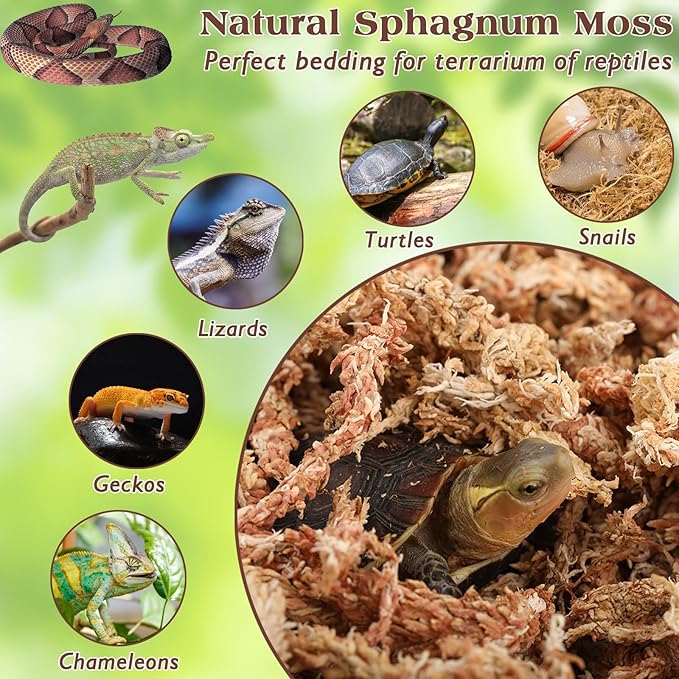 ZeeDix 12 oz Premium Sphagnum Moss for Reptiles, 20 qt Dried Long Fibered Leopard Gecko Moss for Terrarium, Natural Sphagnum Peat Moss Bedding for Frogs Anoles Snake Ball Python Turtle