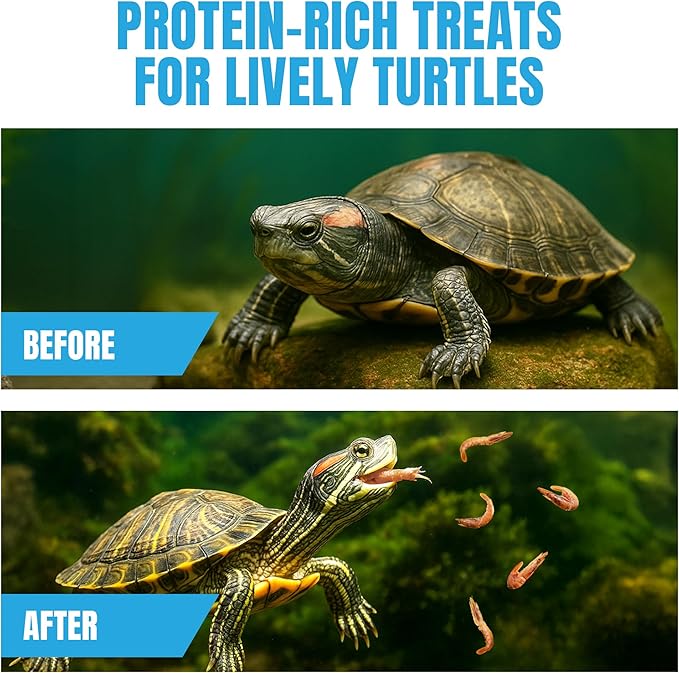 JOR Dried Shrimps for Turtle, Freeze-Dried High Protein, Low Fat Snack for Shell Growth & Energy, Easy-Chew Treat for Tropical Fish, Reptiles, Amphibians & Other Aquarium Pets, 1 oz