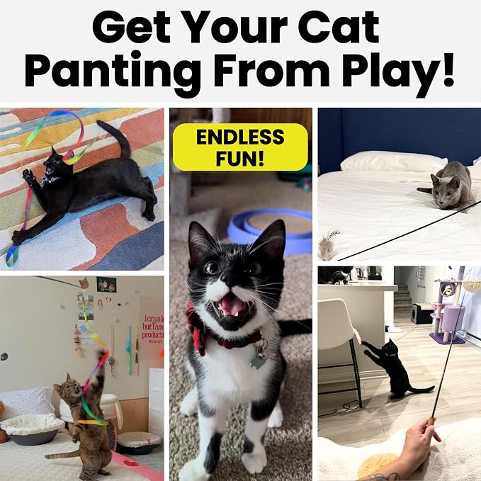 Forever Stick with Cat Toys and Strings Bundle - The Unbreakable Cat Wand Toy, Durable Cat Toy Wand, Extra Long Cat String Toy, Cat Fishing Pole Toy for Bored Indoor Adult Cats, Cat Stick Toy - Image 6