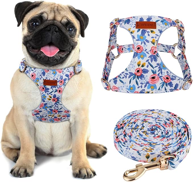 CHEDE No Pull Floral Pattern Dog Harness- Lightweight and Soft Harness, Adjustable Small Dog Harness and Leash Set, with Dog Leash, Suitable for Puppy Small and Medium-Sized Dog (S, Blue Rose)