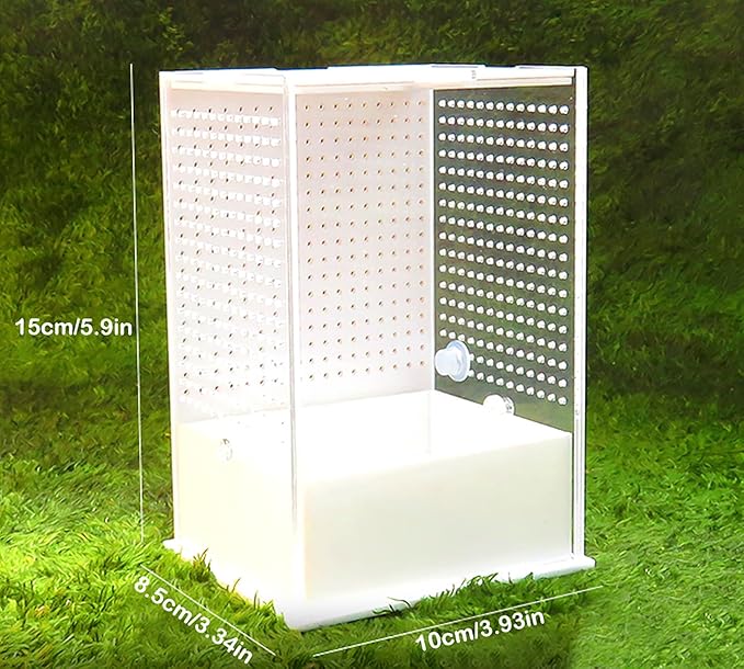 OMEM Reptile Breeding Box, Insect Incubator, for Orchid Mantis, African Phantom Mantis, Reptile Resting Habitat and Entertainment