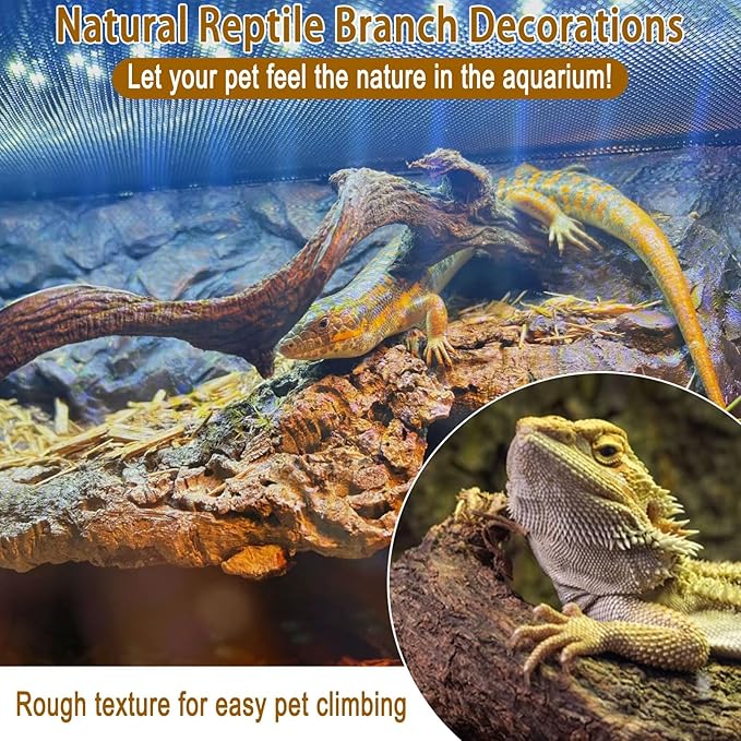 Reptile Decor 4PCS Natural Forest Branch Terrarium Habitat Driftwood Decoration Lizard Climbing Tree Branch for Bearded Dragon Gecko Snake Frog Chameleon Spider
