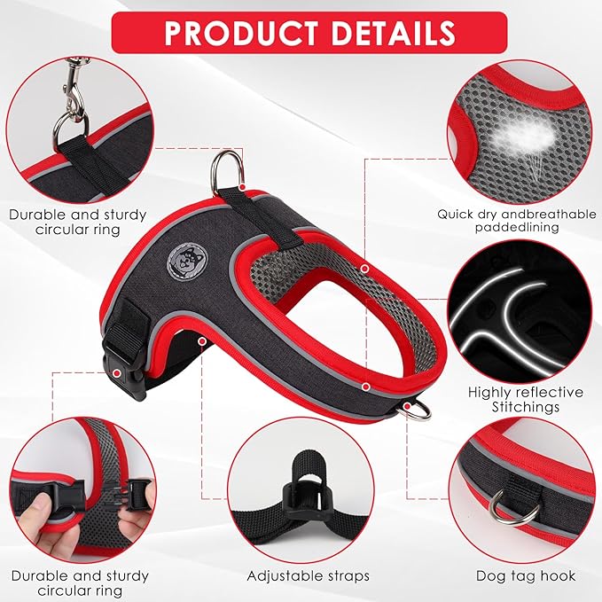 Dog Harness and Leash Set, No Pull Saddle Style Pet Harness, Breathable Mesh Adjustable Reflective Dog Vest for Dogs and Cat Medium Small Harness 2 D-Rings (Black, S)