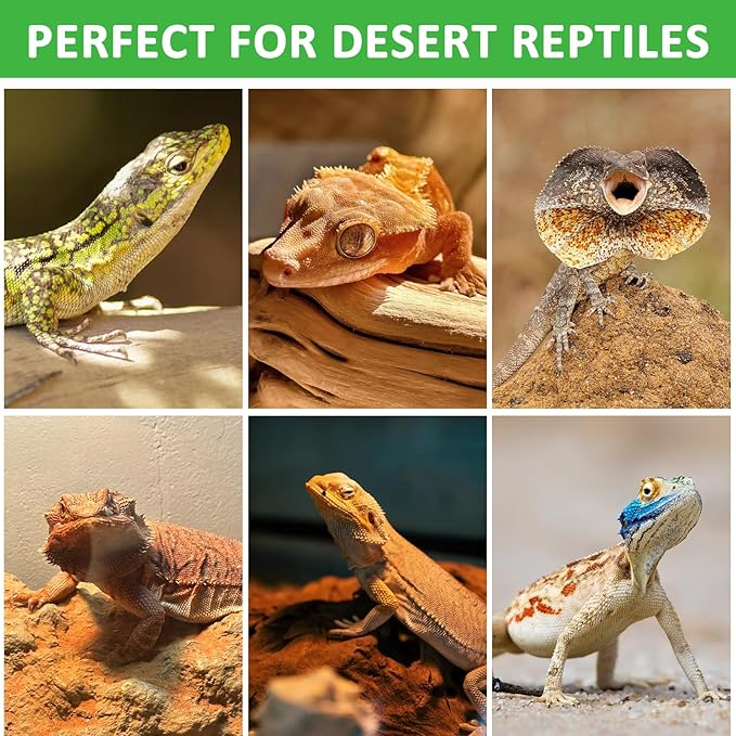 Aiicioo UVB Reptile Light 5.0 13W Desert UVB Spiral Compact Fluorescent Lamp UVB Reptile Light Bulb Tropical and Sub-Tropical UVB Bulb for Reptiles Bearded Dragons Lizards