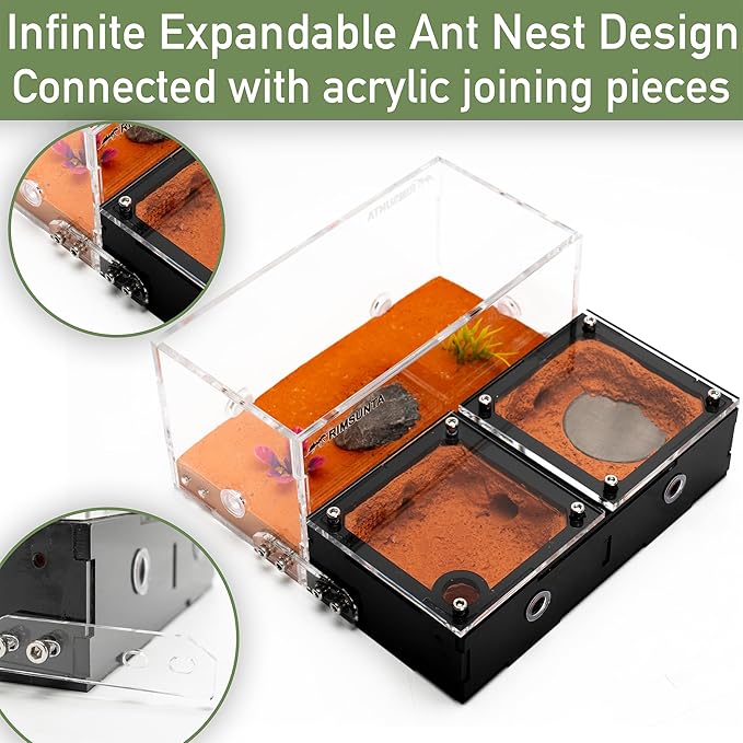 Terra Core Expandable Dual Chamber Formicarium Ant Nest with Starter Kit