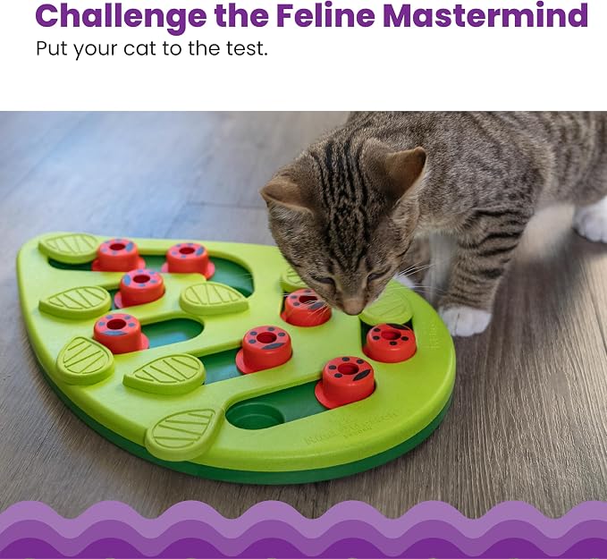 Catstages Nina Ottosson Buggin?€? Out Puzzle & Play Cat Toy Treat Puzzle, 14" - Image 2