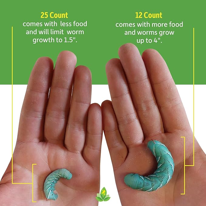 Josh's Frogs Hornworms Habitat Cup (12 Count Cup)