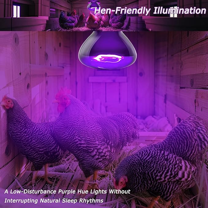 Reptile Moonlight Bulb 60W