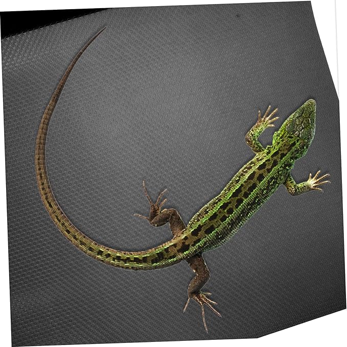 COLLBATH Reptile Carpet Mat for Turtles Snakes and Lizards Substrate Bedding for Reptile Terrariums Black Easy Clean Accessory
