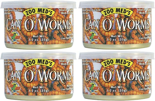 CAN O' WORMS