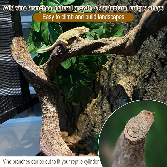 Reptile Decor 4PCS Natural Forest Branch Terrarium Habitat Driftwood Decoration Lizard Climbing Tree Branch for Bearded Dragon Gecko Snake Frog Chameleon Spider