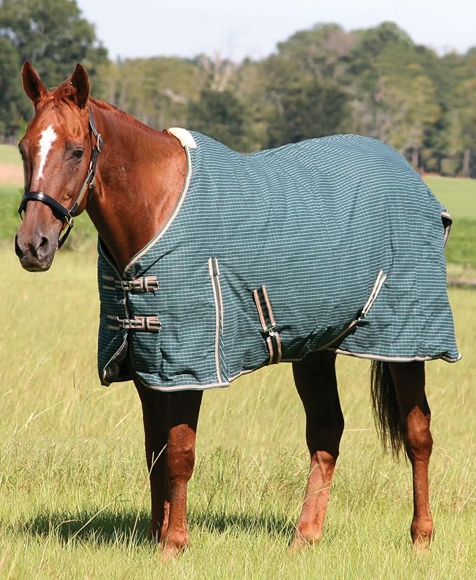 Jeffers Equine Basic Canvas Horse Blanket, 72" – Water Resistant Turnout Blanket for Horses, Pony, Draft – Breathable, Adjustable Straps, Tail Flap, Shoulder Gussets, Barn Gear - Green Tan Check