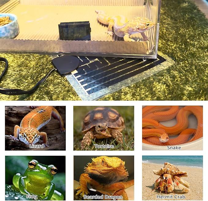 Hamiledyi Reptile Heat Pad Heating Pad Under Tank Hermit Crab Heater Hygrometer Thermometer Heat Mat for Lizard Snake Gecko Turtle Frog Spiders (5W)