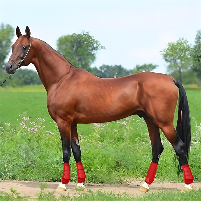 Medicine Horse Boots Splint Boots for Horses Protective Lower Limb Brushing Boots Front Hind Leg Protection Gear Set of 4 (Red, Medium)