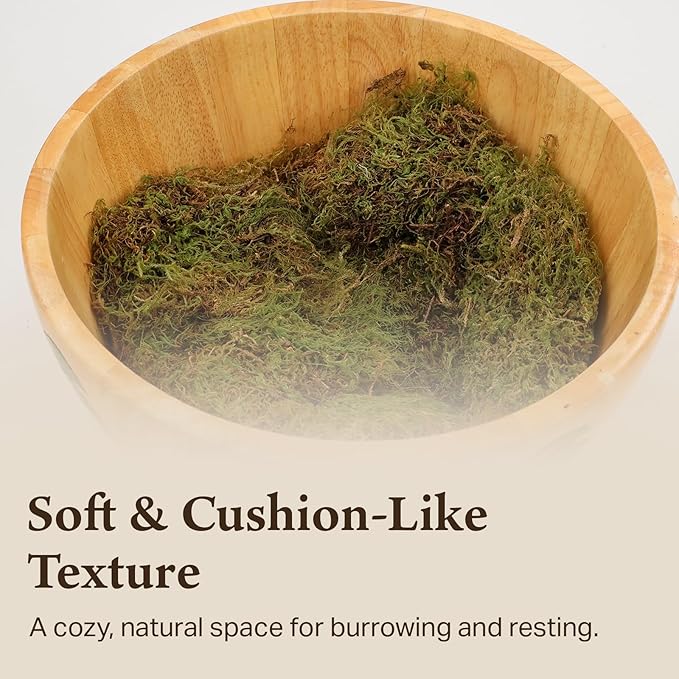The Habitat Life - Natural Deco Moss - for Reptiles, Amphibians & Invertebrates Terrariums - Humidity Control - Natural Look & Feel - Soft Surface - Dye-Free & Safe - Small - 1 Pack