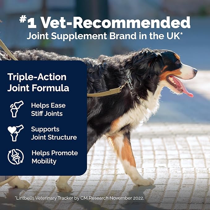 YuMOVE Hip & Joint Supplement for Large Dogs - with Glucosamine Chondroiton, Green Lipped Mussel, Hyaluronic Acid, and Omega 3 Joint Supplement for Stiffness and Mobility - 60 Chews (Large/XL Dogs)